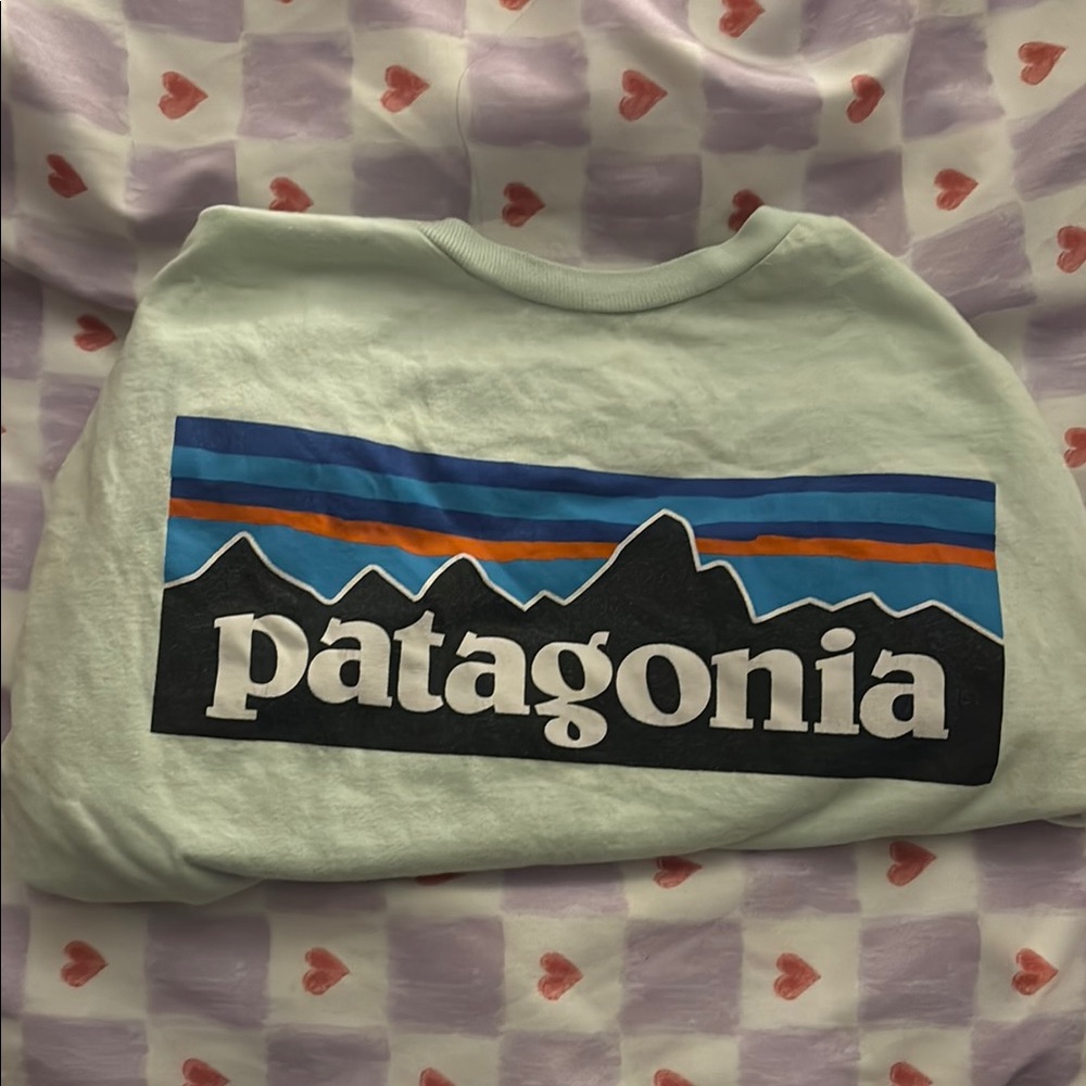 Patagonia Graphic Shirt